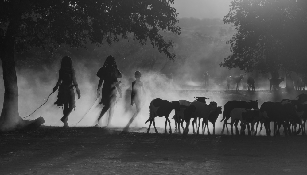 Simba children herding cattle von Mei Shi