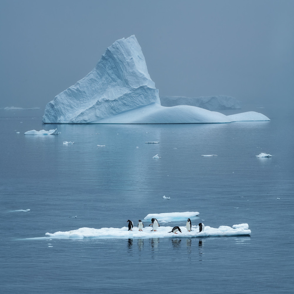 Daily Life in Antarctica von Mei Xu