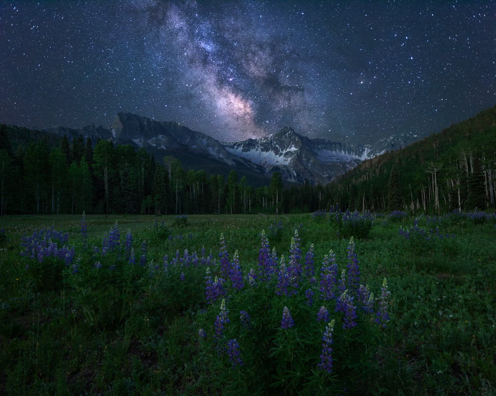 Alpine Night von Mei Xu