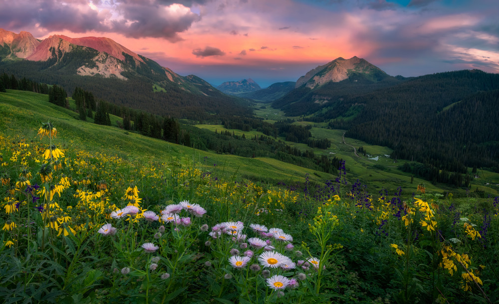 Blooming in the Valley von Mei Xu