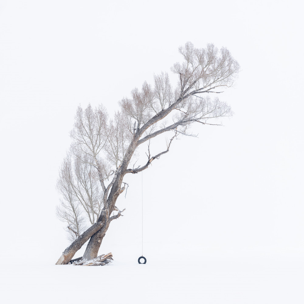 The Swing in Winter Break von Mei Xu