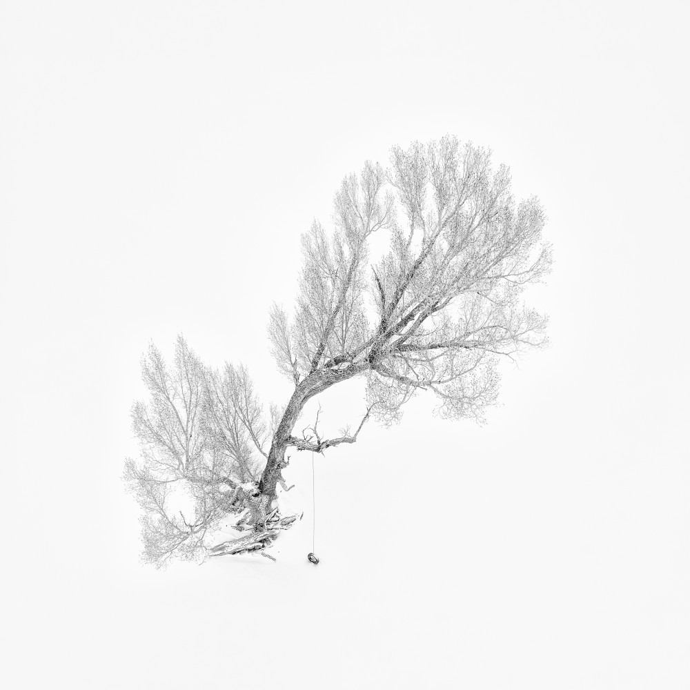 Lone Tree in Winter (Aerial View) von Mei Xu