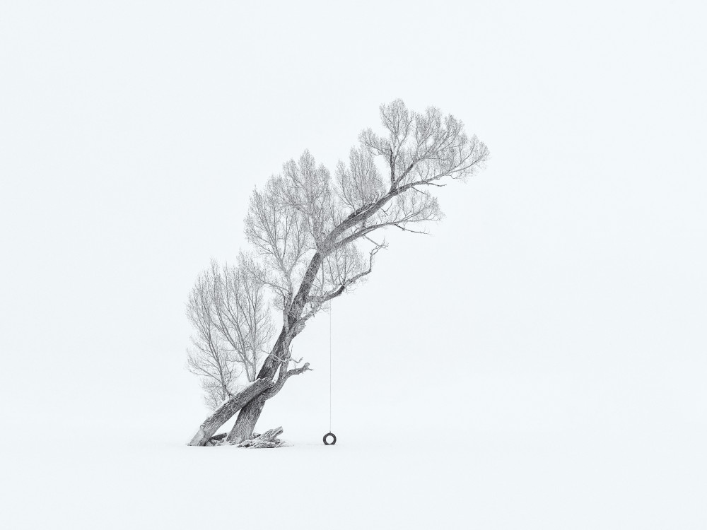 Lone Tree in Winter (Black/White) von Mei Xu