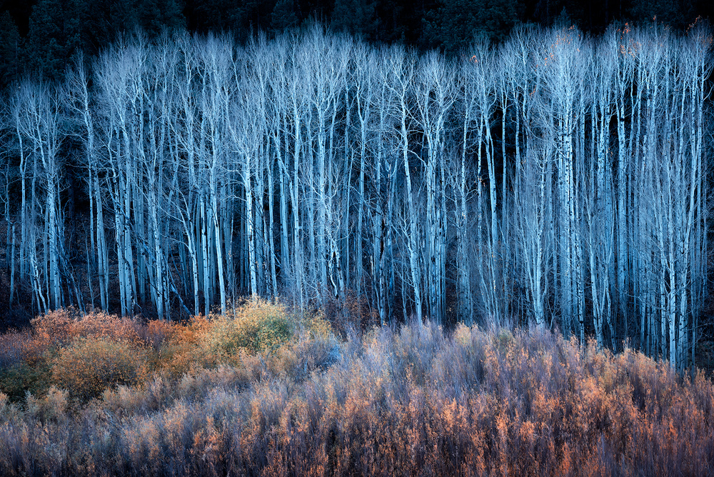 End of Autumn von Mei Xu