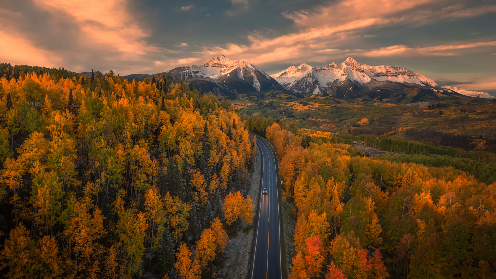 Driving in Paradise von Mei Xu