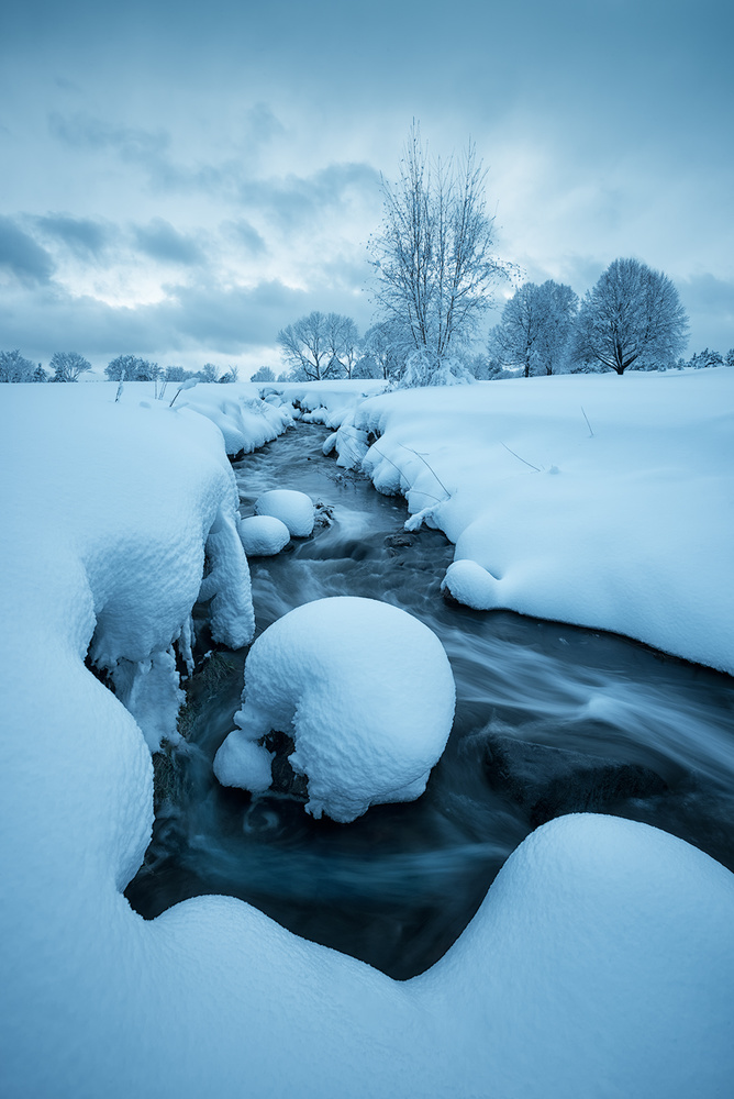 Fluffy Winter von Mei Xu