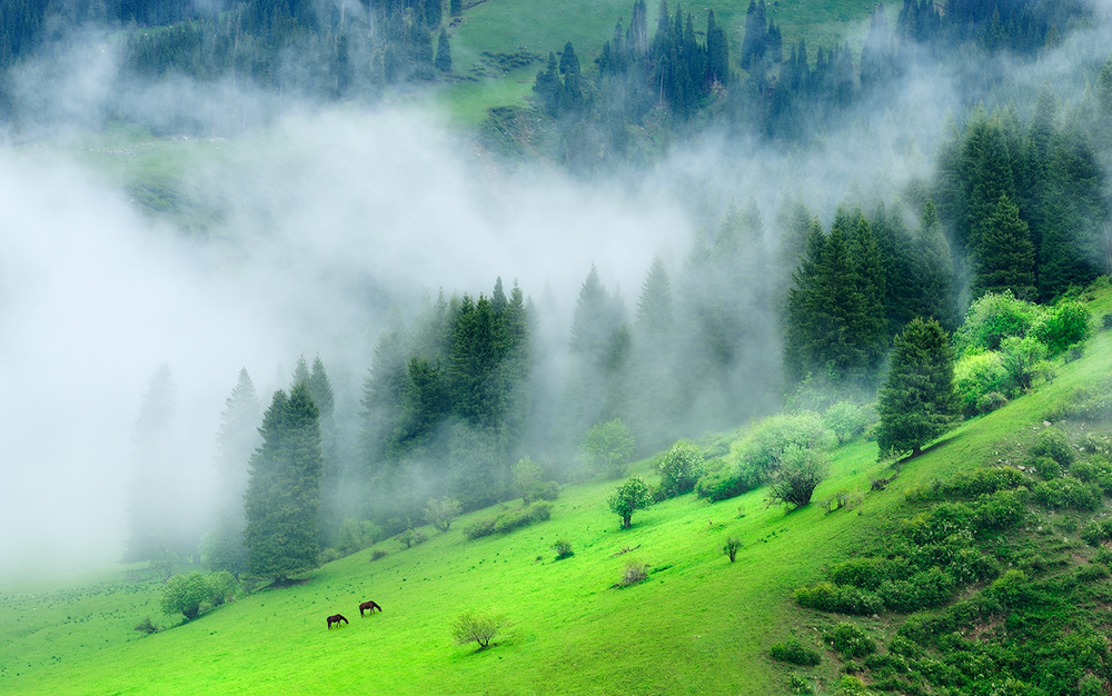 Spring Mist von Mei Xu