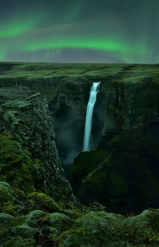 Green Night von Mei Xu