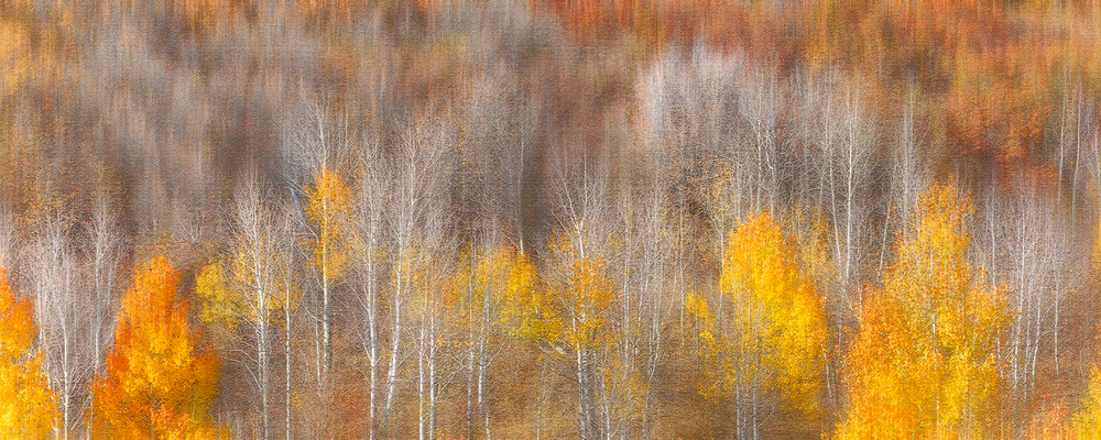 Autumn Painting von Mei Xu