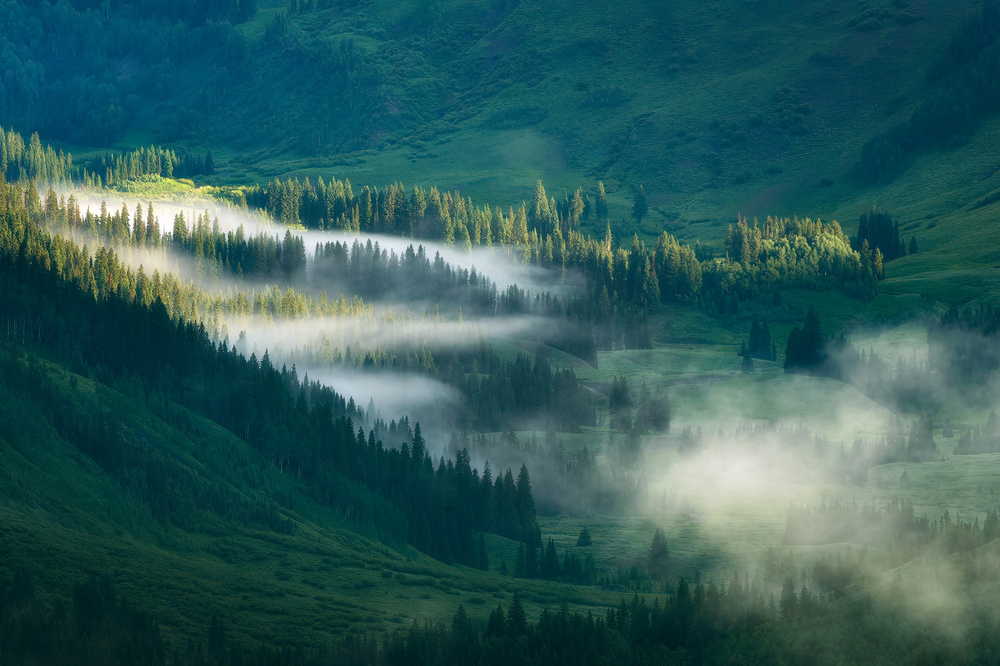 Foggy Valley von Mei Xu