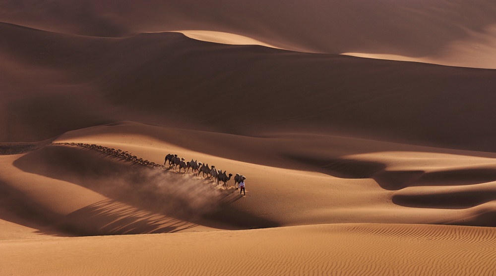 Shadows in the Desert von Mei Xu