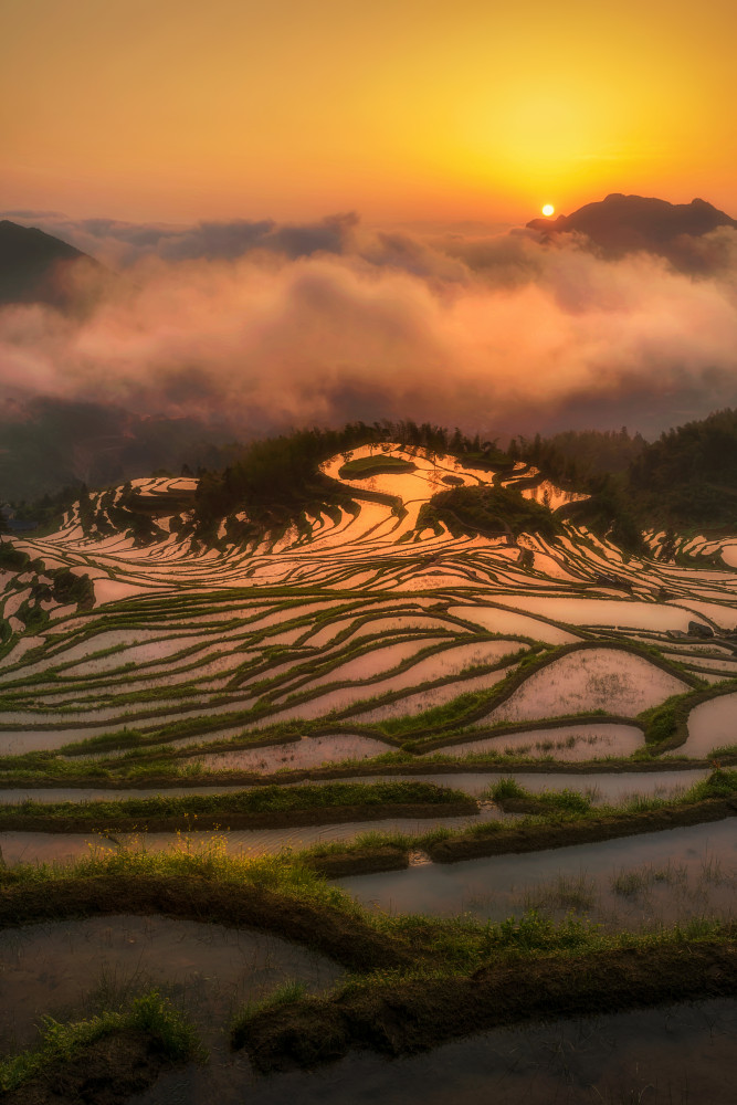 Terraced Fields at Sunrise von Mei Xu