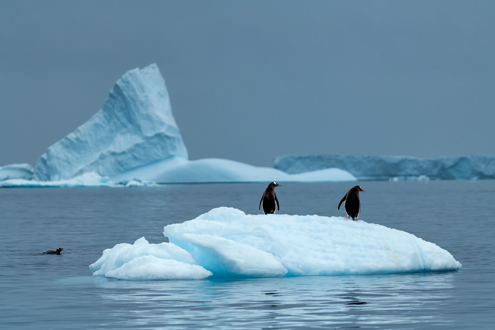 Transportation in Antarctica von Mei Xu