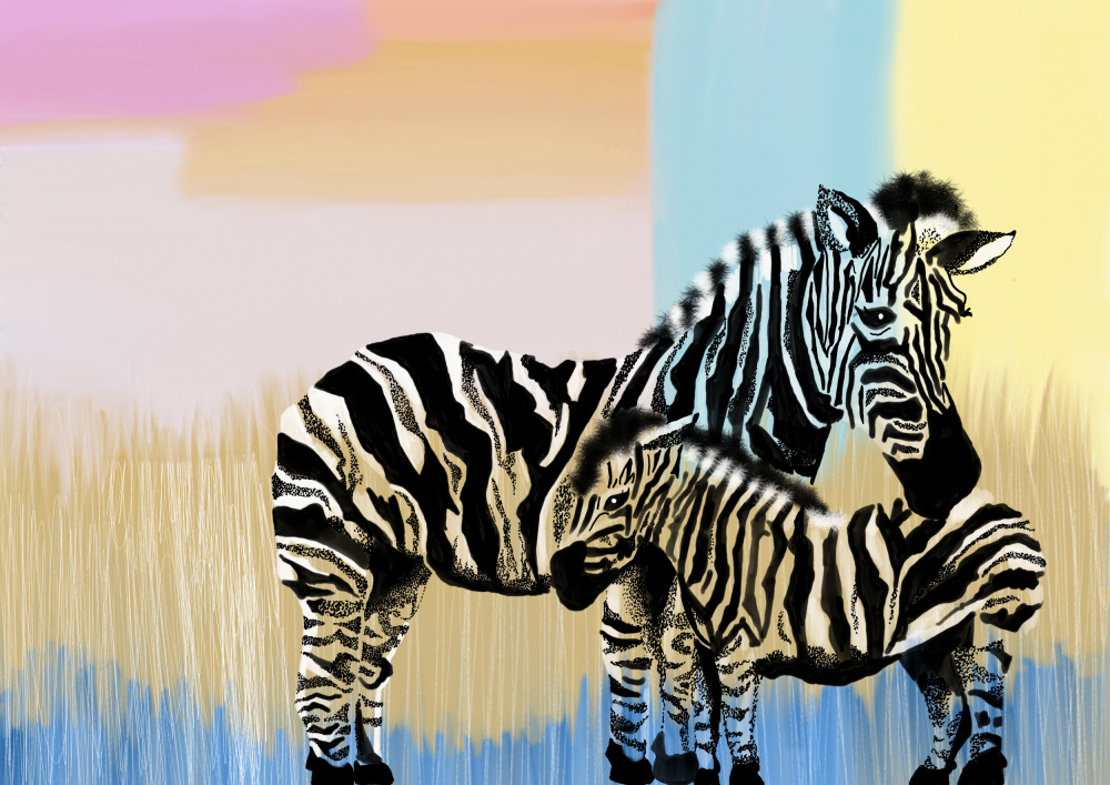 Mama Zebra and baby von Meleshnie Govender