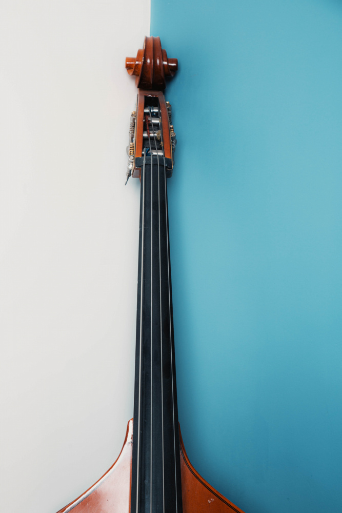 Violin von Meraj