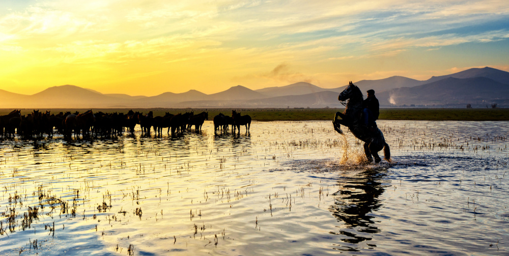 Horses... von Merthan Kortan