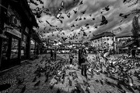 Sarajevo Square....