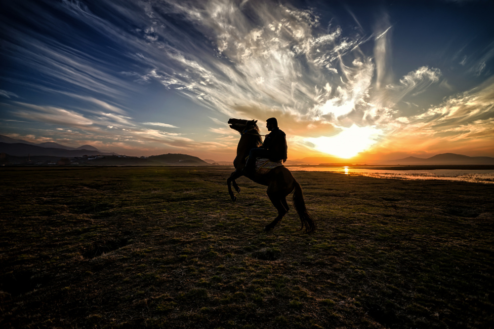 Wild Horses... von Merthan Kortan