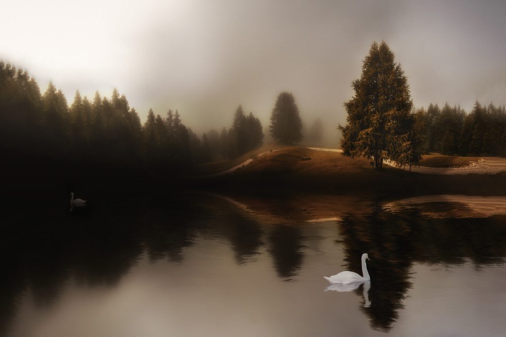 Swan Lake von Michael