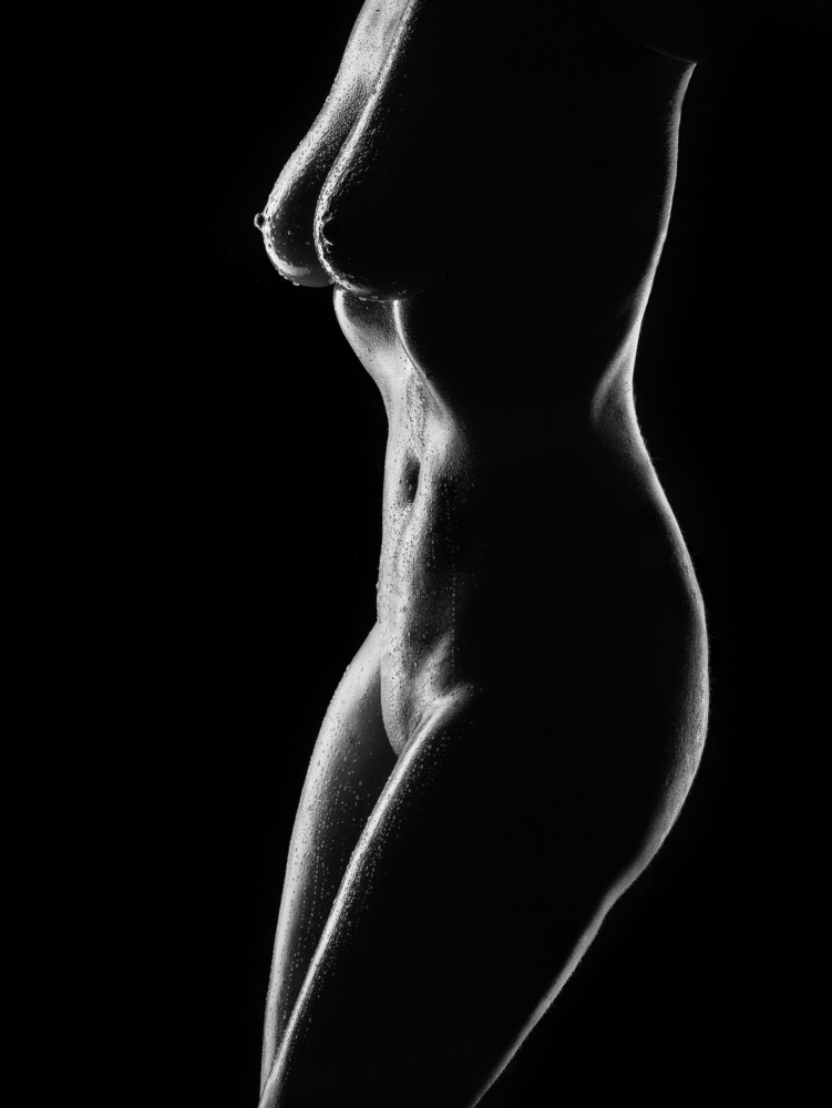 female body shapes von Michael Allmaier