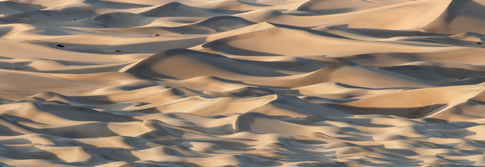 Sand Waves von Michael Chapman