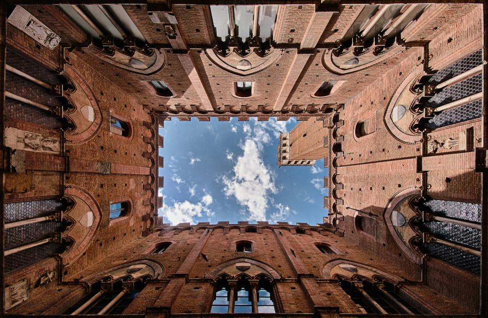 Looking up the Torre del Mangia von Michael Echteld