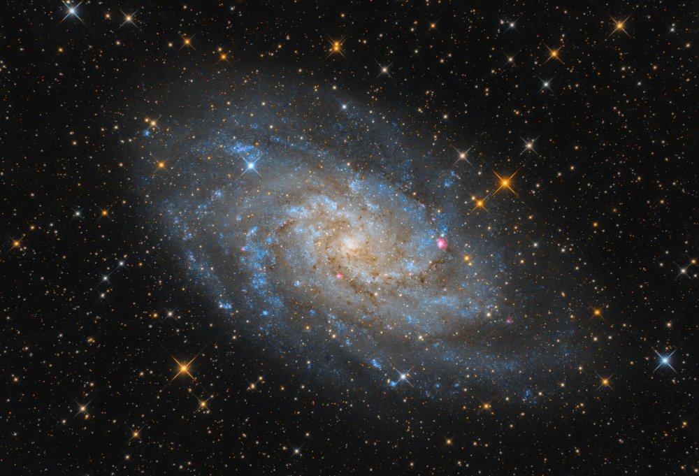 The Triangulum Galaxy - M33 von Michael Kalika