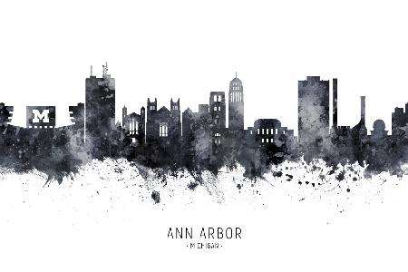 Ann Arbor Michigan Skyline