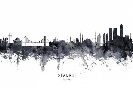 Istanbul Turkey Skyline