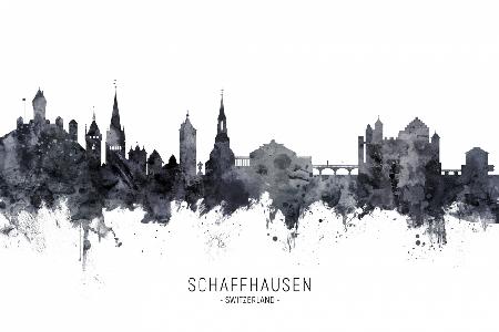 Schaffhausen Switzerland Skyline