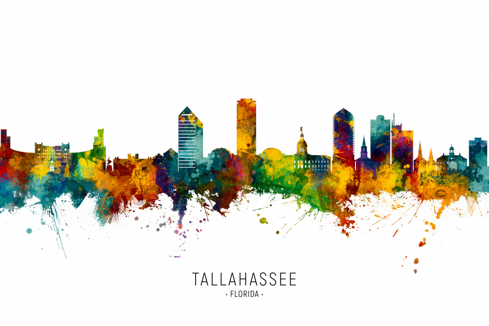 Tallahassee Florida Skyline von Michael Tompsett