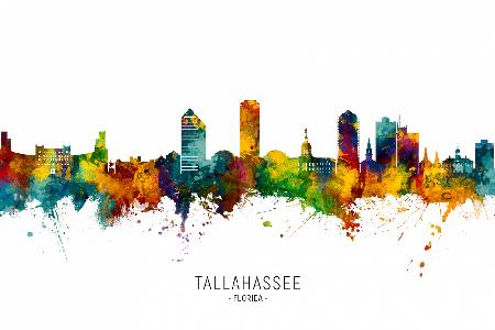 Tallahassee Florida Skyline