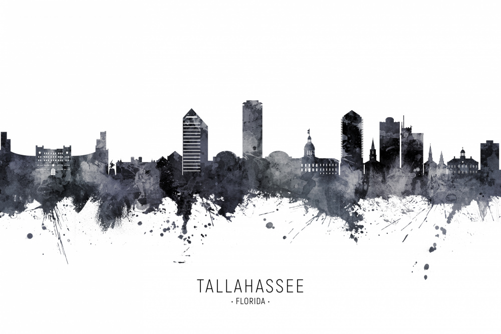 Tallahassee Florida Skyline von Michael Tompsett