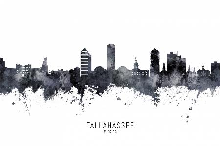 Tallahassee Florida Skyline