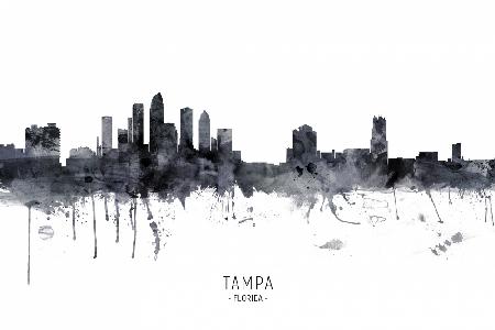 Tampa Florida Skyline