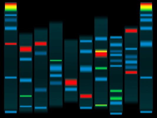 dna von Michael Travers