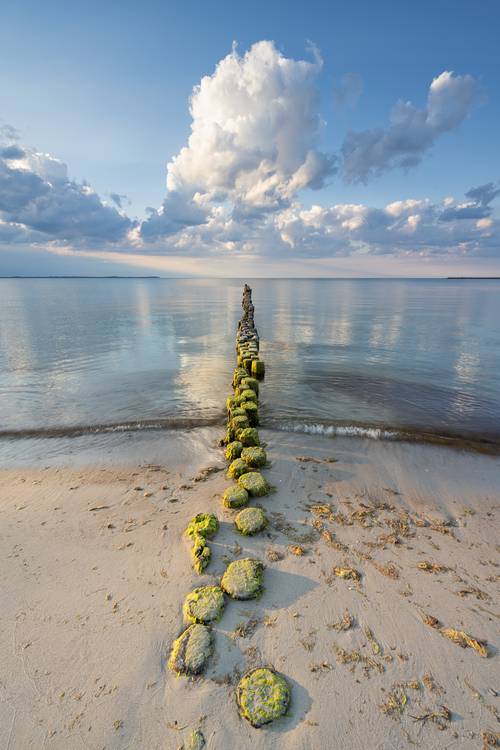 Buhne auf Rügen von Michael Valjak