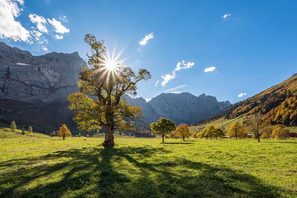 Gegenlicht am Großen Ahornboden von Michael Valjak