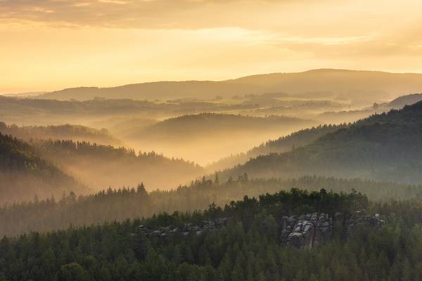 Goldenes Licht in der Sächsischen Schweiz von Michael Valjak