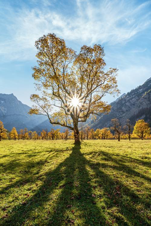 Herbst am Großen Ahornboden in Österreich von Michael Valjak