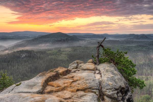 Sonnenaufgang in der Sächsischen Schweiz von Michael Valjak