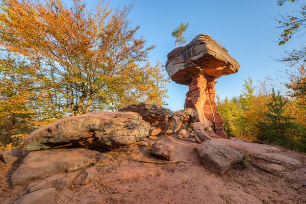 Teufelstisch im Pfälzerwald am Morgen von Michael Valjak