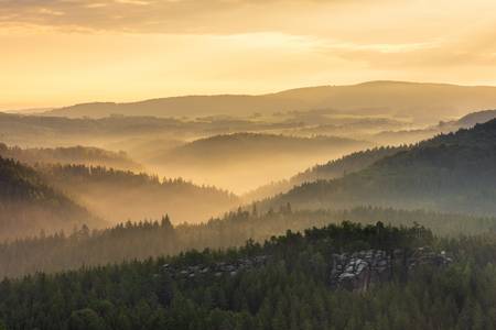 Goldenes Licht in der Sächsischen Schweiz