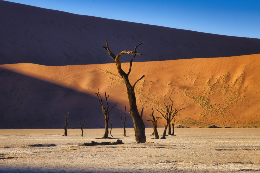 Deadvlei von Michael Zheng