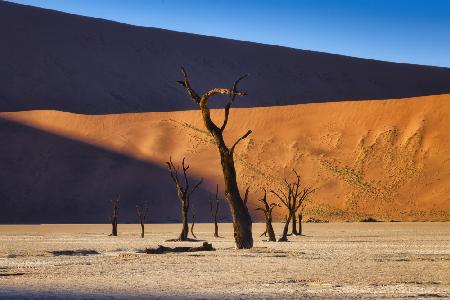 Deadvlei