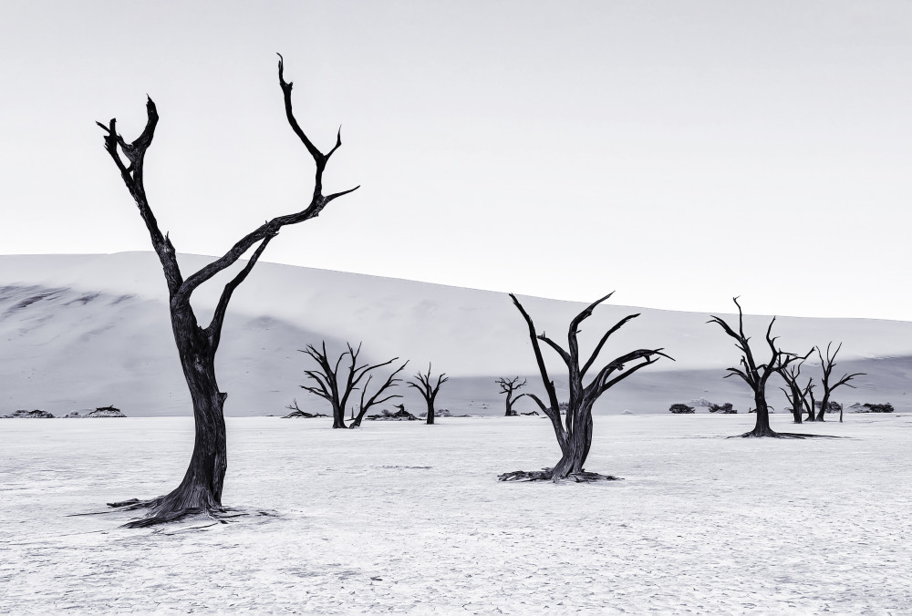 Deadvlei von Michael Zheng