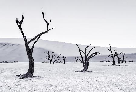 Deadvlei