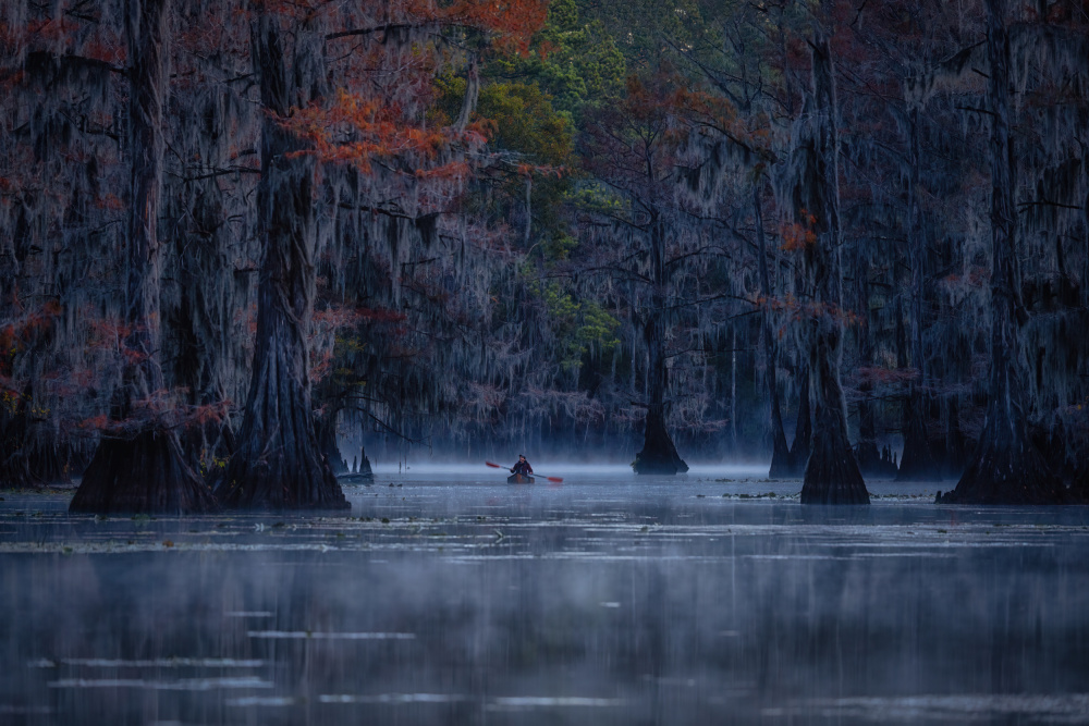 Fall is Coming to Caddo Lake von Michael Zheng