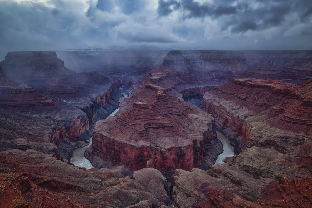 Amidst A Snowstorm von Michael Zheng