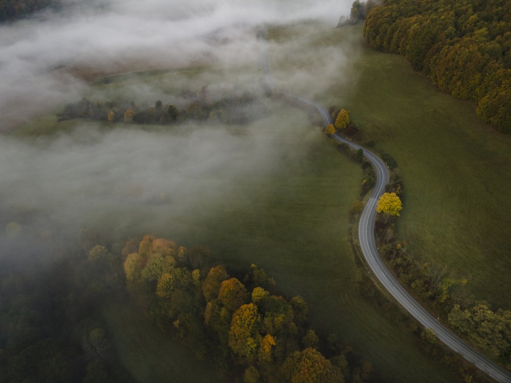 Autumn fog von Michaela Kubasova